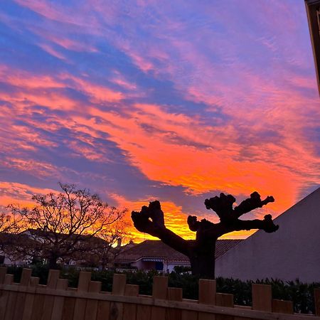 Maison Saint Cyprien Plageヴィラ エクステリア 写真